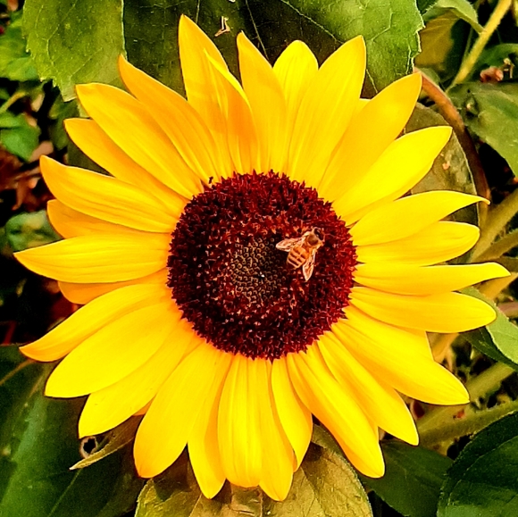 Meet your Posher, Leslie - Picture 2 of 4